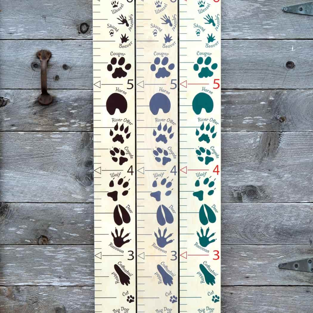 Animal Tracks Wooden Growth Chart