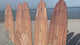 The Seaside Series of Wooden Surfboard Growth Heigth Charts | Ocean Themed Nursery | Longboard Height Chart | Surfboard Signs